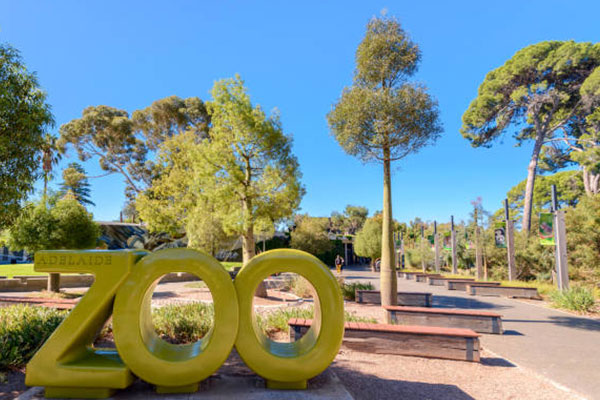 Adelaide