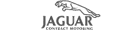 Jaguar Logo